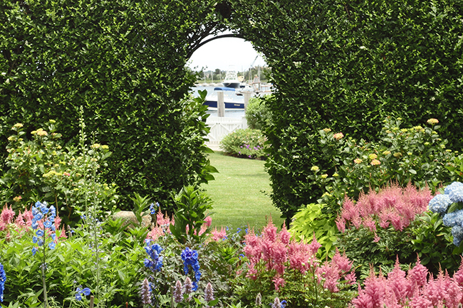 Digging Deeper: A Summer Seaside Garden